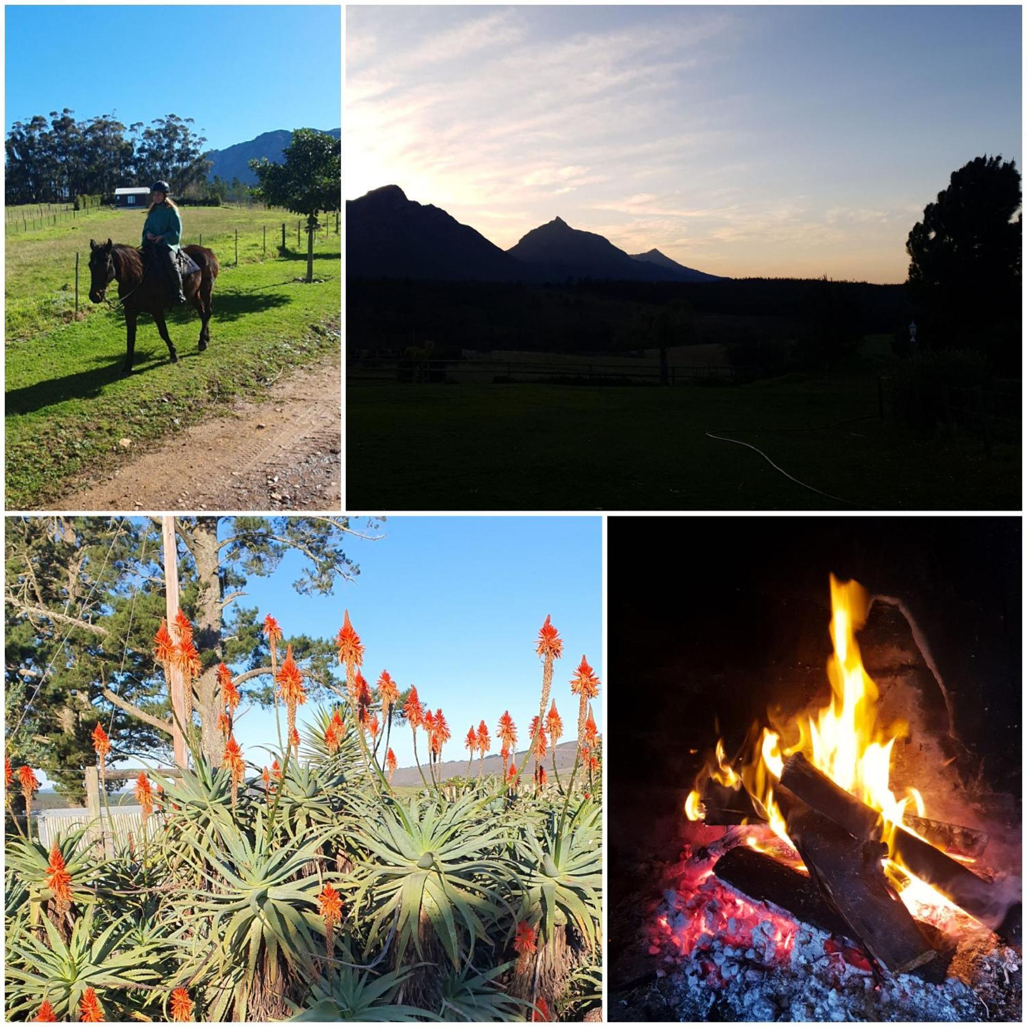 Vila Oudebosch Guest Farm Riversdale Exteriér fotografie